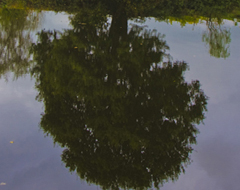 Continue reading Seven Photographs: The Exe by Exeter