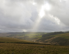 Continue reading The Devon Moors: Walking Near Two Bridges [Part 3]