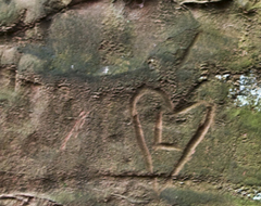 Continue reading Dark Lane, Budleigh Salterton