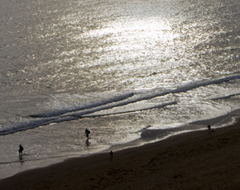 Continue reading Six Photographs: South Devon Cliff Walk [Part 2]