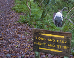 Continue reading Seven Photographs:  Lydford Gorge [Part 2]