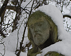 Continue reading 6 Photographs:  Fulham Palace Road Cemetery in the Snow
