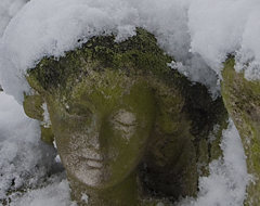 Continue reading Eight Photographs:  Snow on Brompton Cemetery, London