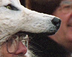 Continue reading Anchorage, Alaska:  Fur Rondy:  True Fur Hats