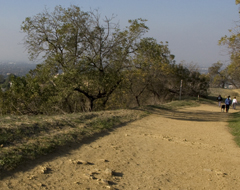 Continue reading Hiking Los Angeles:  Wilacre Park at Fryman Canyon