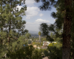 Continue reading Hiking Los Angeles:  Fryman Canyon Park