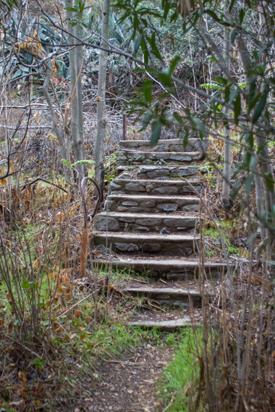 Steps leading up to the once cabins in Fish Canyon.