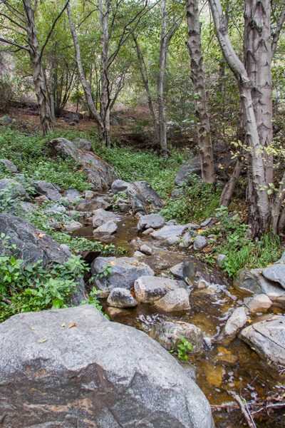 The water flowing after the first rains of the season in Fish Canyon.