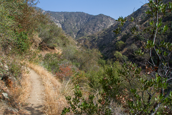 The trail up on the hillside of Fish Canyon in June of 2014.