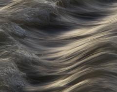 Continue reading Infinite Flow: The Los Angeles River at Los Feliz